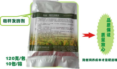 玉米秸秆青贮黄贮做饲料喂猪喂牛羊厂家!玉米秸秆发酵剂厂家批发价格!_农副产品栏目