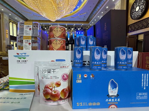 兴安盟 中蒙贸易洽谈对接会暨跨境电商选品会在阿尔山市举办